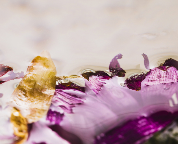 Rose-coloured flower - plant and flower extracts